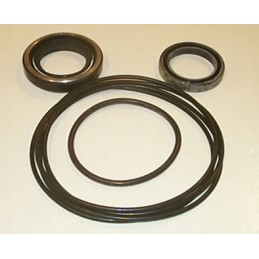 Hidraulinis variklis wm02mpm