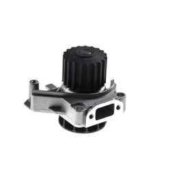 Lombardini variklio vandens siurblys