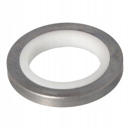 Palfinger sandarinimo poveržlė