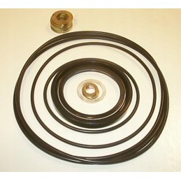 Hidraulinis variklis wm02omr32