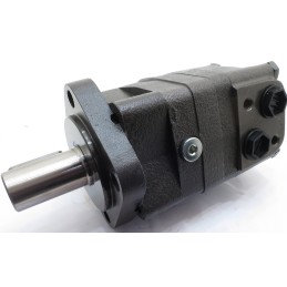 Hidraulinis variklis wmps125p