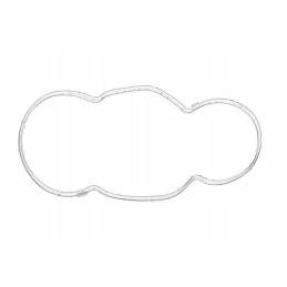 Iveco variklio alsuoklio filtro tarpiklis