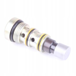 Sb250 rm 310 įleidimo vožtuvas