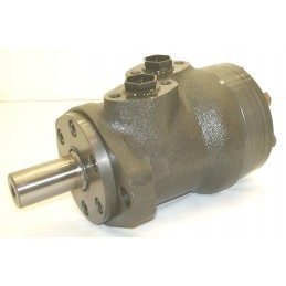 Hidraulinis variklis wmpr100m