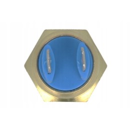 Masse Yferguson skysčio temperatūros jutiklis 4222196m1 4223862m1 2848a121