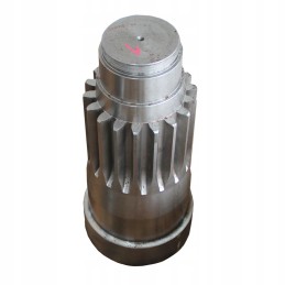 Palms 700 žvaigždutė