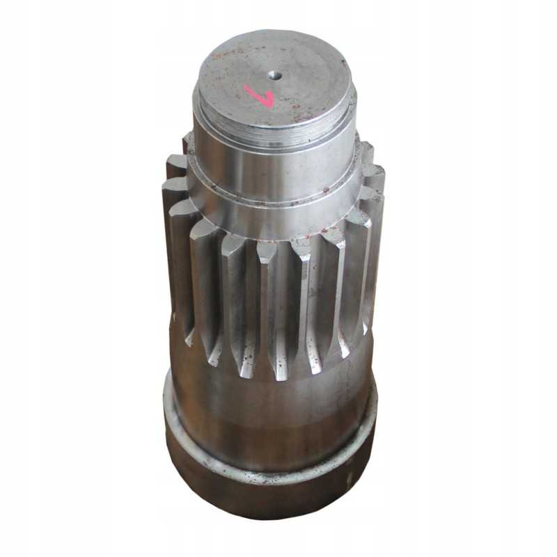 Palms 700 žvaigždutė