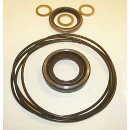 Hidraulinis variklis wm02omm