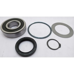 35 35 v vq veleno galo dangtelio dalys