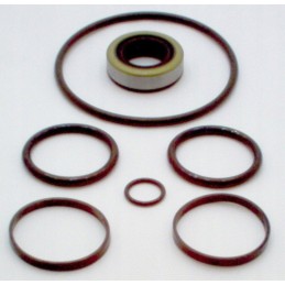 Kayaba gp2 sandariklių rinkinys