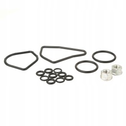 Pvg32 svirties sandariklių rinkinys