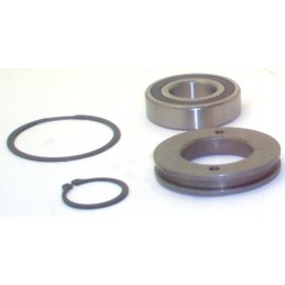 35m variklio veleno komplektas