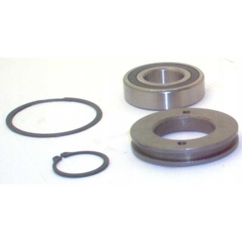 35m variklio veleno komplektas