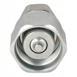 Varžtinė greitoji jungtis 300 barų 1 m48x3 lizdas