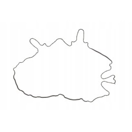 Reinz vožtuvo dangtelio tarpinė guma 71 38982 00