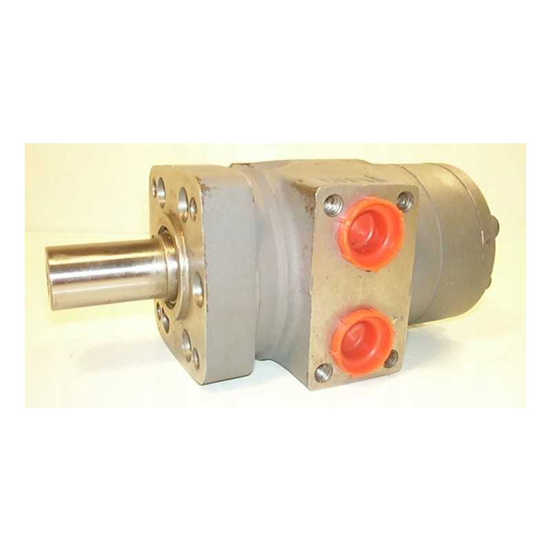 Hidraulinis variklis wdm200m f