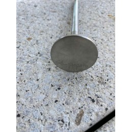 Išmetimo vožtuvas 1360819 cat 3116 3126 variklis