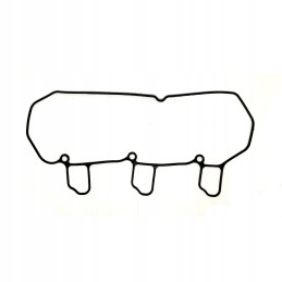 Yanmar 3ym30 vožtuvo dangtelio tarpinė