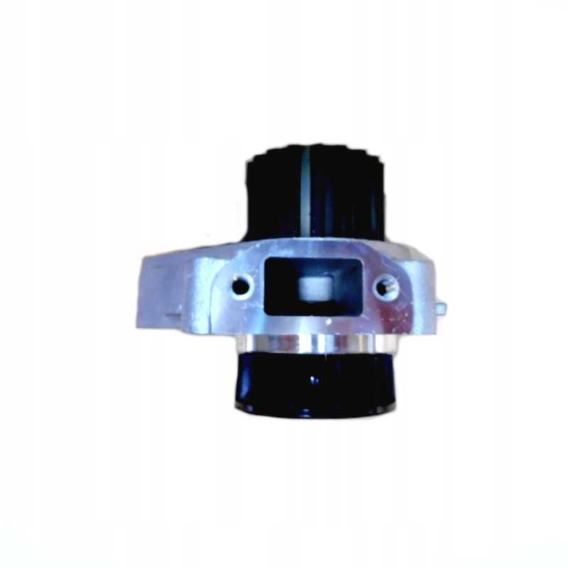 Daihatsu vandens siurblys