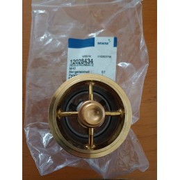 Termostatas mwm 12028434