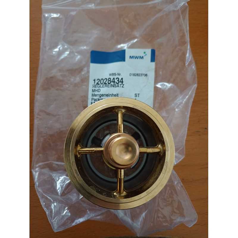 Termostatas mwm 12028434