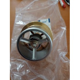 Termostatas mwm 12028434