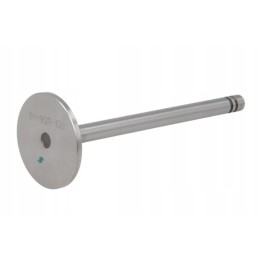 Caterpillar 3300 serijos išmetimo vožtuvas