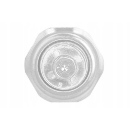 Alyvos slėgio jutiklis kat. 302 5 303 5 304 5