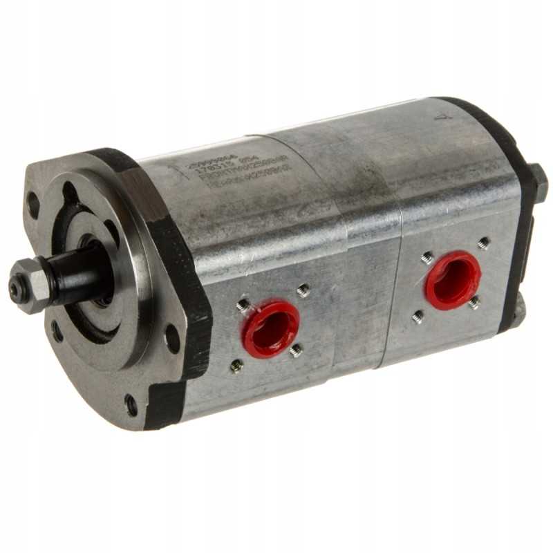 Dvigubas hidraulinis siurblys Renault 0510665417