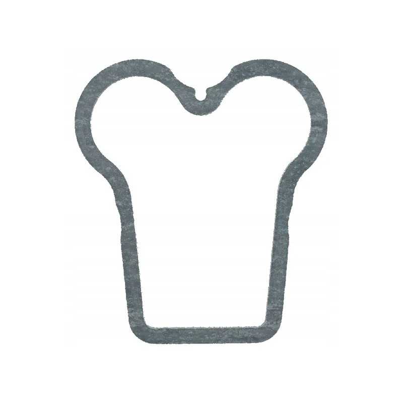 Vožtuvo dangtelio tarpinė