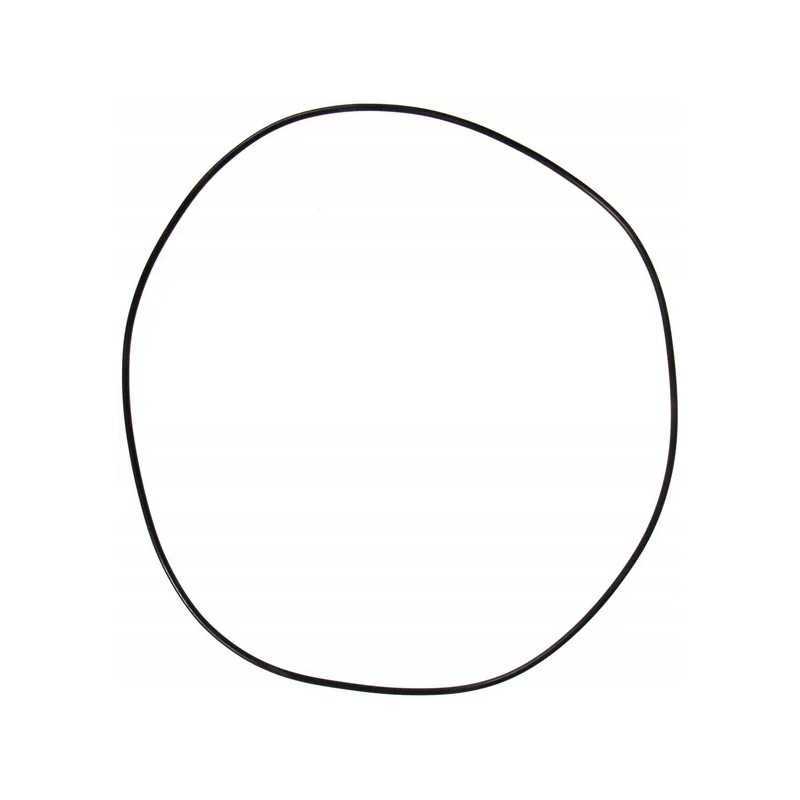 O žiedo sandariklis 206 824 4470