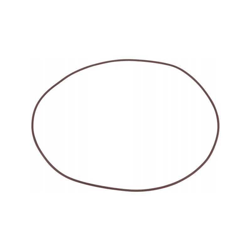 Sandarinimo žiedo sandarinimo žiedas 279x3 53 mm