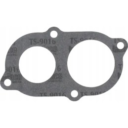 mf termostato tarpiklis