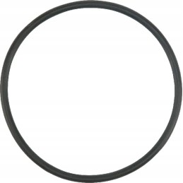 O-žiedo sandariklis