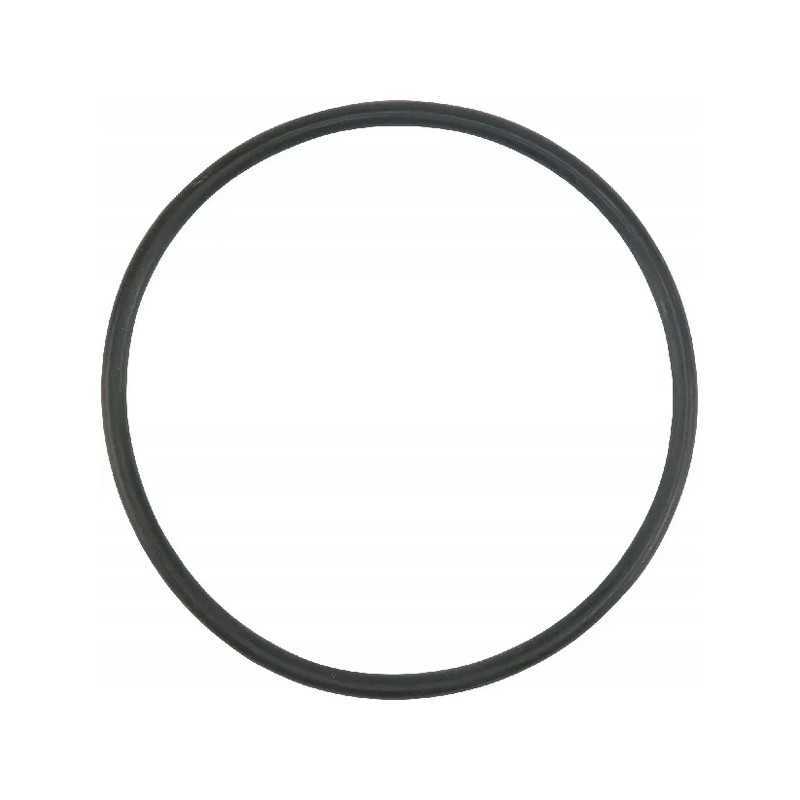 O-žiedo sandariklis