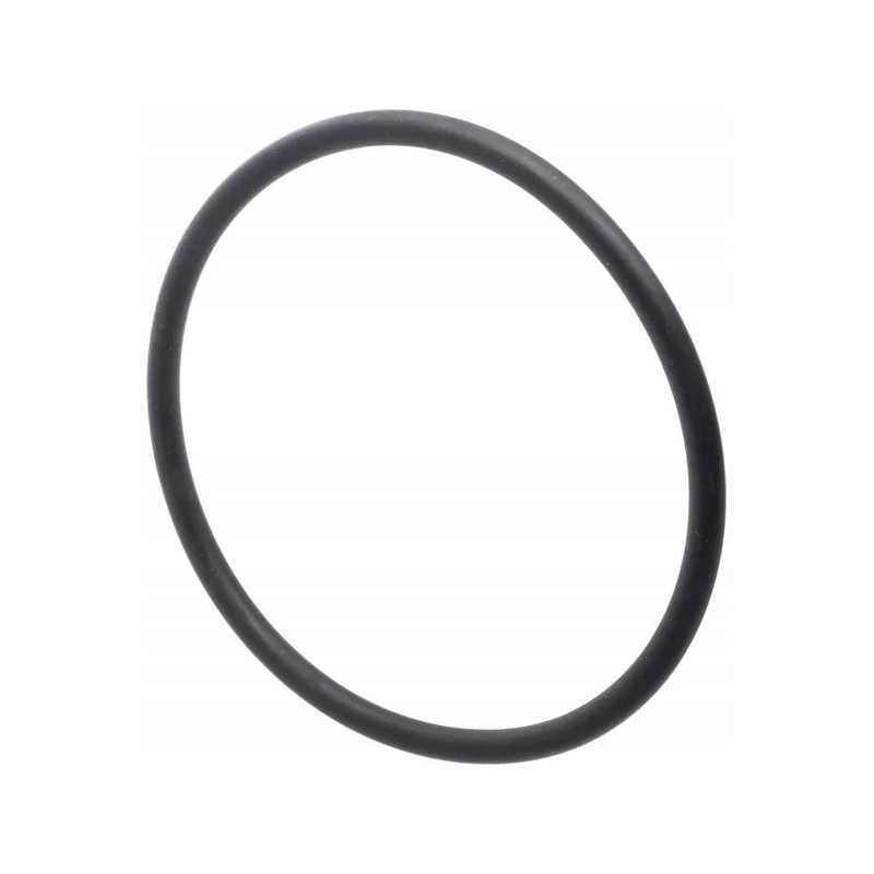 Pierscien 3019929x1 kramp