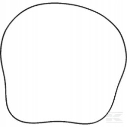 Stabdžių arba žiedų mf