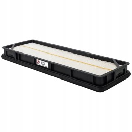 Baldwin PA31003 oro filtro įdėklas