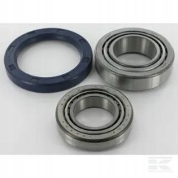 Rato guolių komplektas