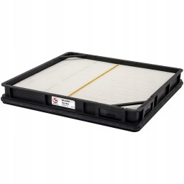 Baldwin PA31001 oro filtro įdėklas