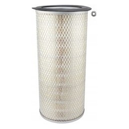 Baldwin PA2431 oro filtro įdėklas