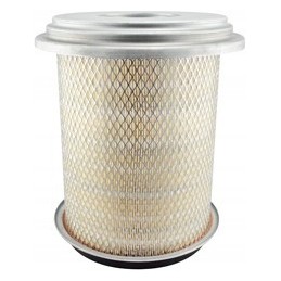 Baldwin PA2865 oro filtro įdėklas