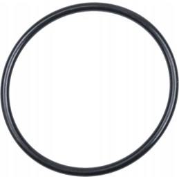 Pierscien 3019927x1 kramp