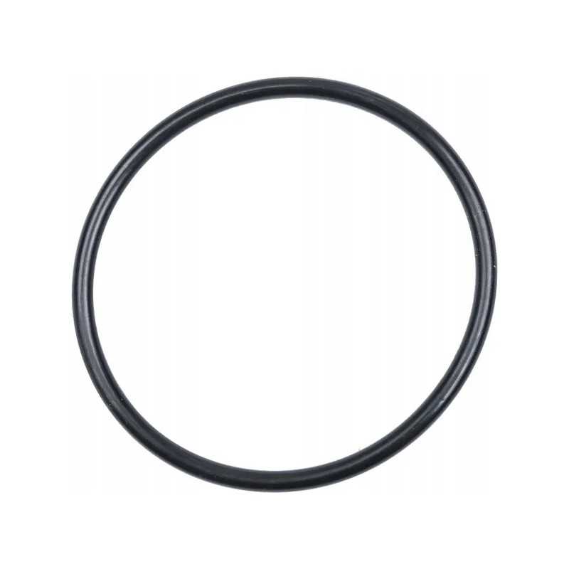 Pierscien 3019927x1 kramp