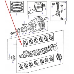 4226917m91 alkūninių velenų komplektai