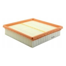 Baldwin PA3839 salono filtro įdėklas