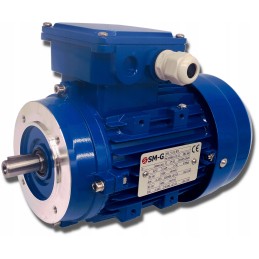 Elektros variklis 0 37kw 230 400v 1370rpm 3 fazis