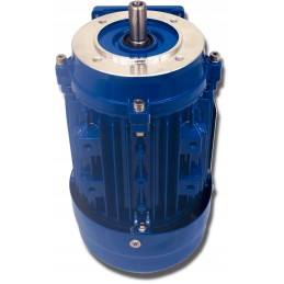 Elektros variklis 0 55kw 230 400v 1380rpm 3 fazis