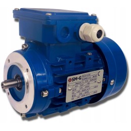 Elektros variklis 0 25kw 230 400v 1340rpm 3 fazis