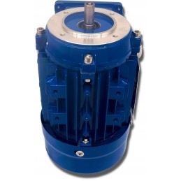 Elektros variklis 0 25kw 230 400v 1340rpm 3 fazis